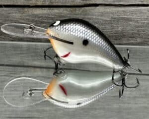 Black Label Balsa - Wreck Deep - Custom Balsa Crankbait - Electric Shad color