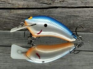 Black Label Balsa - Speedy - Hybrid Squarebill Crankbait - Blue Back Pearl Orange Belly color
