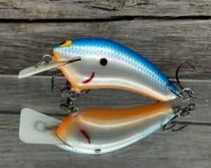 Black Label Balsa - Speedy - Hybrid Squarebill Crankbait - Blue Back Pearl Orange Belly color