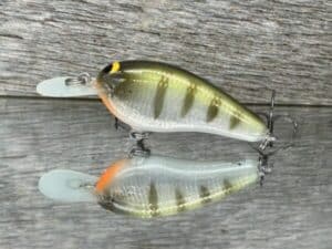 Black Label Balsa - Little Cliffie - Signature Series Crankbait - Foiled Perch color