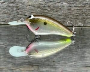 Black Label Balsa - Little Cliffie - Signature Series Crankbait - Foiled Cliff's Secret color