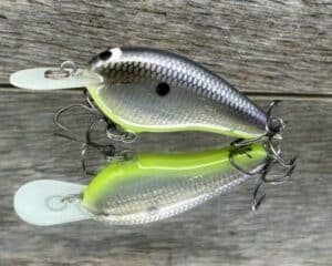 Black Label Balsa - Little Cliffie - Signature Series Crankbait - Foiled American Shad Chartreuse Belly color