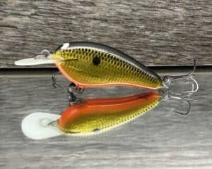Black Label Balsa - Little Cliffie - Signature Series Crankbait - Gold Foil Orange Belly color