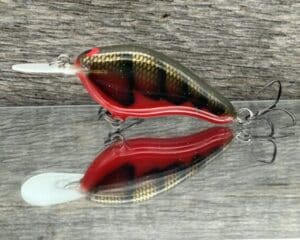 Black Label Balsa - Fat Flat - Custom Balsa Crankbait - Habanero color