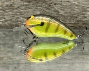 Black Label Balsa - Prowler - Signature Series Custom Balsa Squarebill Crankbait - Foiled Bold Bluegill color
