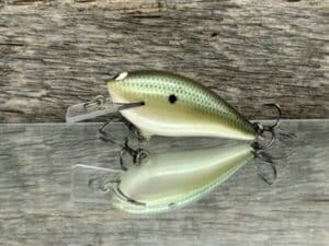 Black Label Balsa - BL 1.5 - Balsa Squarebill - Green Gizzard color