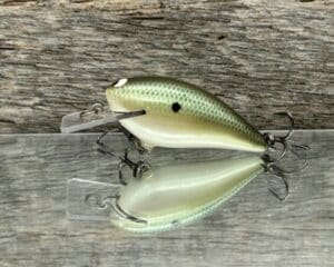 Black Label Balsa - BL 1.5 - Balsa Squarebill - Green Gizzard color