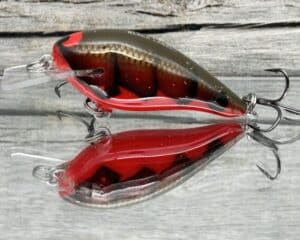 Black Label Balsa - BL 1.0 - Balsa Squarebill - Habanero color