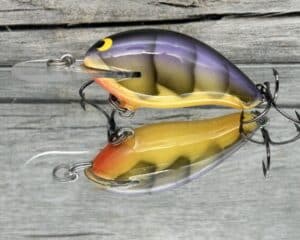 Black Label Balsa - Badger - Custom Balsa Crankbait - Tequila Craw color