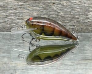 Black Label Balsa - BL 1.5 - Balsa Squarebill - Watermelon Red Craw color