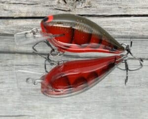 Black Label Balsa - BL 1.5 - Balsa Squarebill - Habanero color