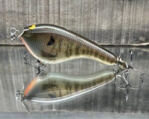 Black Label Balsa - Tease - Custom Balsa Topwater Prop Bait - Golden Gill color