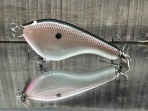 Black Label Balsa - Tease - Custom Balsa Topwater Prop Bait - Hustler Color