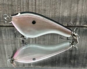 Black Label Balsa - Tease - Custom Balsa Topwater Prop Bait - Hustler Color