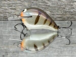 Black Label Balsa - Wreck Jr. - Custom Balsa Squarebill Crankbait - JB's Gill color