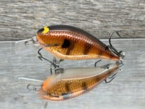 Black Label Balsa - BL 1.0 - Signature Series Balsa Squarebill - Foiled Copper Gill color