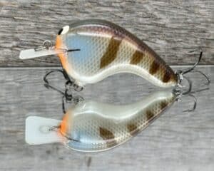 Black Label Balsa - Potbelly - Hybrid Squarebill Crankbait - JB's Gill color