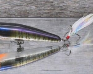 Black Label Balsa - Pop-N-Bob Signature Series - Custom Balsa Popper - Foiled Money Gill