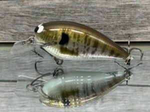 Black Label Balsa - BL 1.5 - Signature Series - Foiled Baby Bluegill Color