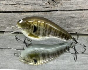 Black Label Balsa - Bully - Signature Series - Custom Balsa Squarebill Crankbait - Foiled Baby Bluegill color