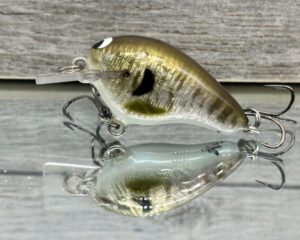 Black Label Balsa - Runt- Signature Series - Custom Balsa Crankbait - Foiled Baby Bluegill color