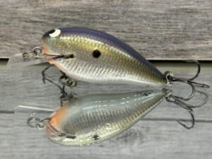 Black Label Balsa - BL 1.5 - Signature Series - Foiled Tennessee Shift - RC 1.5