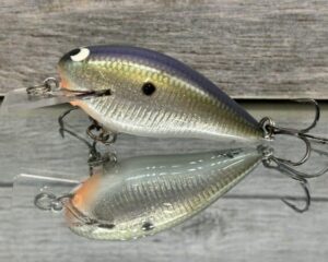 Black Label Balsa - BL 1.5 - Signature Series - Foiled Tennessee Shift - RC 1.5