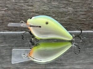 Black Label Balsa - Stump Knocker - Custom Balsa Squarebill - Citrus Candy color