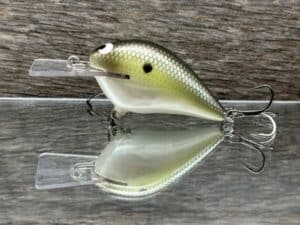 Black Label Balsa - Stump Knocker - Custom Balsa Squarebill - Money Shad color