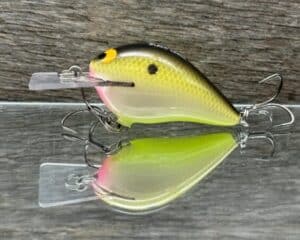 Black Label Balsa - Stump Knocker - Custom Balsa Squarebill - Bone Shad color