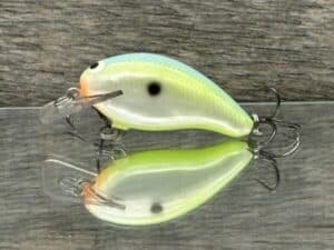 Black Label Balsa - Badger SR Squarebill - Custom Balsa Crankbait - Citrus Candy color