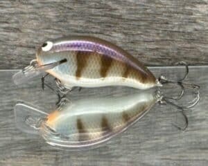 Black Label Balsa - Badger SR Squarebill - Custom Balsa Crankbait - JB's Gill color
