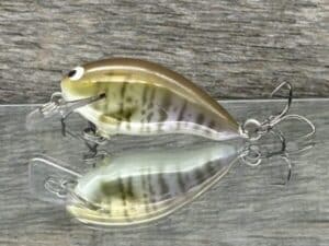 Black Label Balsa - Badger SR Squarebill - Custom Balsa Crankbait - Baby Bluegill color