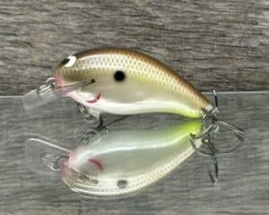 Black Label Balsa - Badger SR Squarebill - Custom Balsa Crankbait - Cliff's Secret color