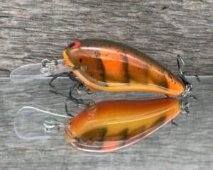 Black Label Balsa - Rock Hound SR - Custom Balsa Crankbait - Fall Craw color