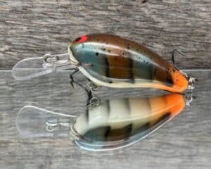 Black Label Balsa - Rock Hound SR - Custom Balsa Crankbait - Molting Craw color