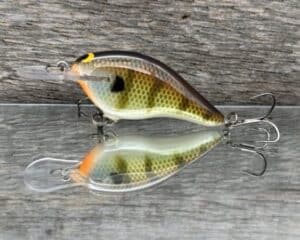 Black Label Balsa - Shiver 5 - Custom Balsa Crankbait - Bold Bluegill color