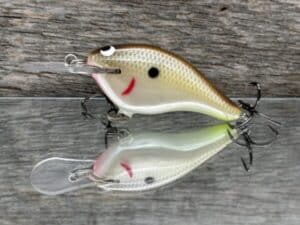 Black Label Balsa - Shiver 5 - Custom Balsa Crankbait - Cliff's Secret color