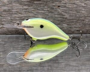Black Label Balsa - Shiver 5 - Custom Balsa Crankbait - Citrus Candy color