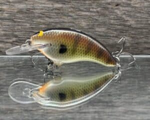 Black Label Balsa - Razor Jr SSS - Balsa Crankbait - Bold Bluegill color