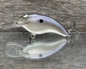 Black Label Balsa - Razor Jr - Balsa Crankbait - American Shad color