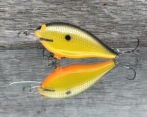 Black Label Balsa - Mod 6 - Custom Balsa Crankbait - Mellow Yellow color