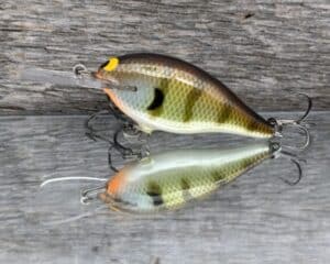 Black Label Balsa - Mod 6 - Custom Balsa Crankbait - Bold Bluegill color