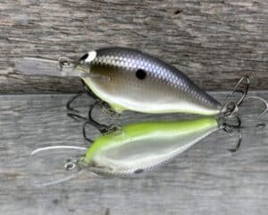 Black Label Balsa - Mod 6 - Custom Balsa Crankbait - American Shad Chartreuse Belly color