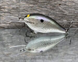 Black Label Balsa - Mod 6 - Custom Balsa Crankbait - Gizzard Shad Foil color