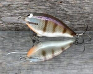 Black Label Balsa - Mod 6 - Custom Balsa Crankbait - JB's Gill color