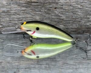 Black Label Balsa - Z II - Custom Balsa Crankbait - Plemmons color
