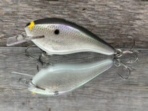 Black Label Balsa - K III Squarebill - Custom Balsa Crankbait - Gizzard Shad Foil color