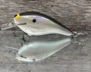 Black Label Balsa - K III Squarebill - Custom Balsa Crankbait - Gizzard Shad Foil color