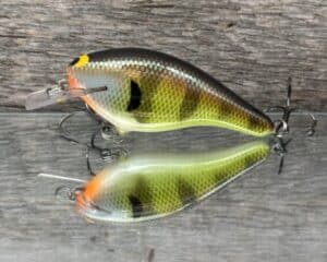 Black Label Balsa - K III Squarebill - Custom Balsa Crankbait - Bold Bluegill color